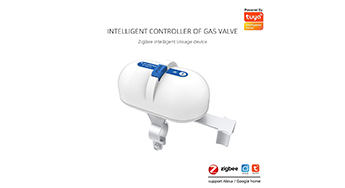 Gas valve